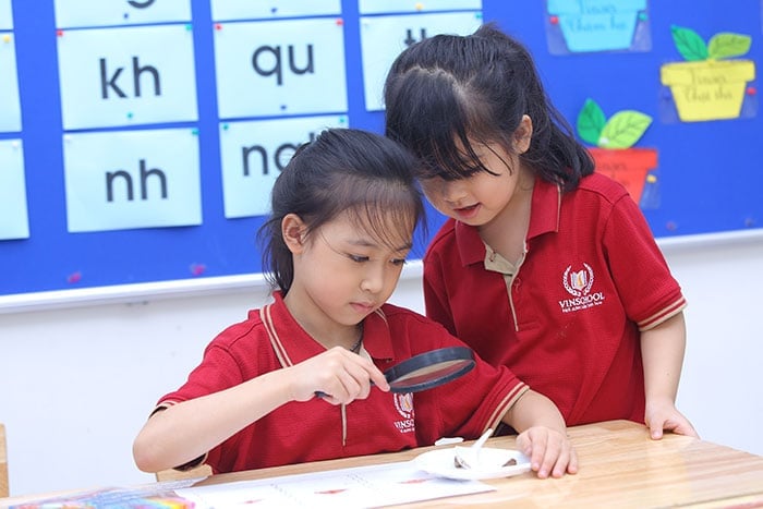 Chương trình giáo dục phổ thông mới tăng cường chú trọng các hoạt động thực tiễn gắn liền với kinh nghiệm, cuộc sống