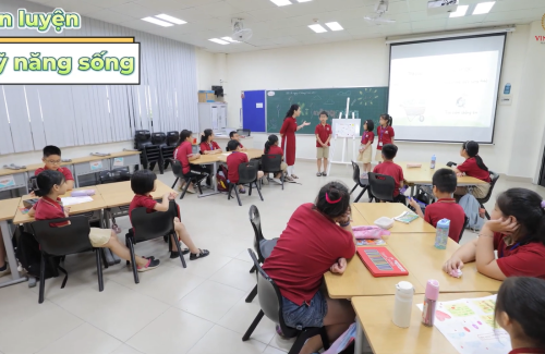 Discovery summer camp: Fun & insightful journey to conquer various subjects