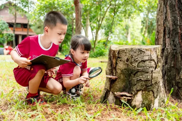 Mầm non Vinschool giúp trẻ rèn luyện khả năng tập trung thông qua trải nghiệm học tập thực tế