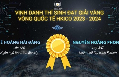 Congratulations To Vinsers On Excellent Achievements At HKICO 2024 International Final Round