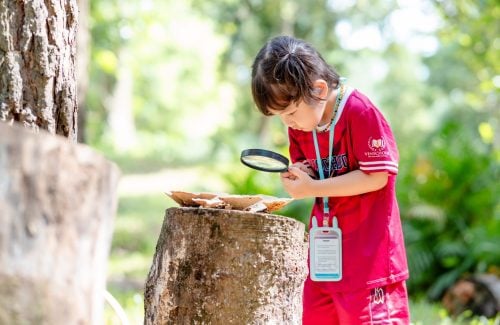 The “Learning in the Forest” school event – Vinschool The Harmony Kindergarten
