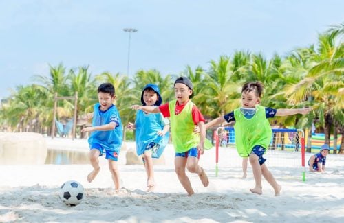 Unleash the Fun and Experience at the “Seaside Classroom”