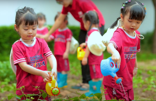 Cùng Nhau Làm Vườn