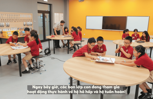 Khám phá Tiểu học Vinschool – 10 câu hỏi siêu tốc