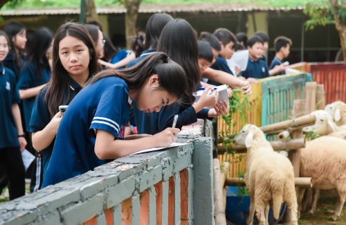 HỌC TẬP TRẢI NGHIỆM KHỐI 7 – VINSERS KHÁM PHÁ “MẮT XÍCH KỲ DIỆU CỦA CUỘC SỐNG”