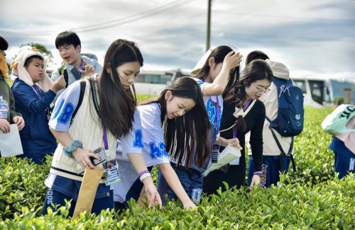 Vinsers trải nghiệm hành trình cuối năm 2024: Khám phá – Thử thách – Trưởng thành