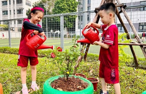 Thứ 4 Ngày Xanh: Hành Trình Lan Tỏa Thông Điệp Xanh Tại Vinschool
