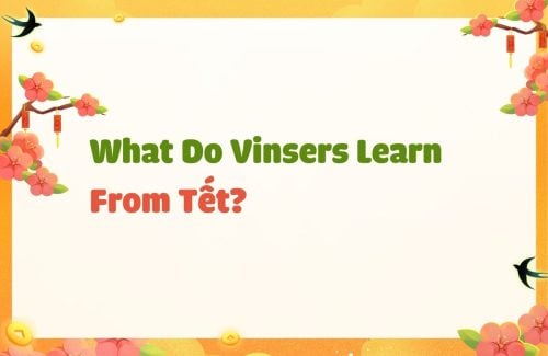 What Do Vinsers Learn From Tết?