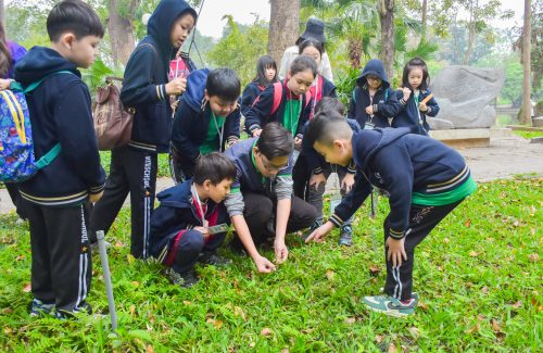 Grade 3 Exploring “The Green Spaces In The City” – A Journey Of Young Explorers!