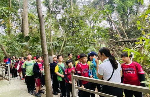 What Did Vinsers Learn After Their Trip To The Forest Resource Museum?