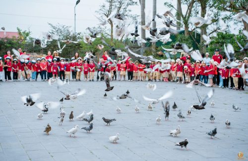 Trải nghiệm thăm nông trại cùng Vinsers nhí khối Pooh và Alvin