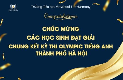 Vinh danh Vinsers xuất sắc tại Olympic Tiếng Anh TP. Hà Nội 2024-2025