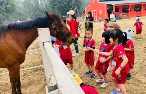 Một Ngày Ở Nông Trại – Các Vinsers Nhí Đã “Thu Hoạch” Được Những Gì?