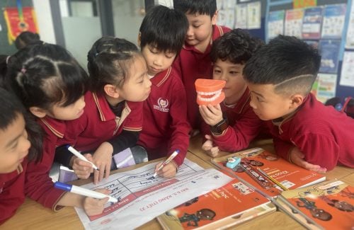 Exploring natural science with Grade 1 Vinsers: Understanding the structure and functions of teeth