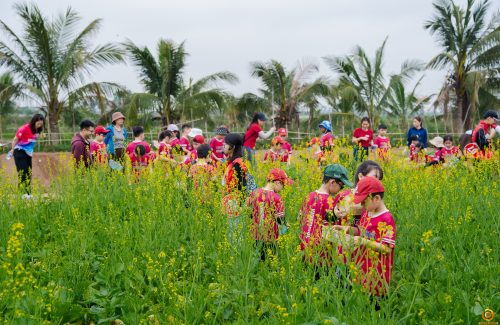 Holistic Development through Experiential Learning Activities with Vinsers Imperia