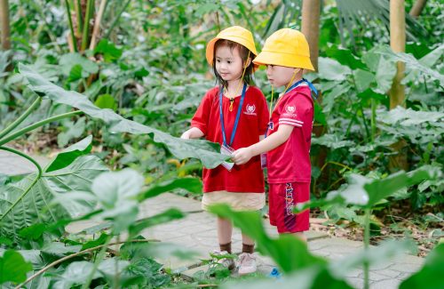 Mùa Hè Diệu Kỳ – Nhà Khám Phá Tí Hon