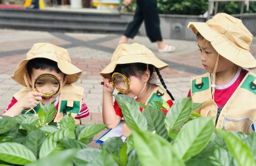 KHÁM PHÁ THIÊN NHIÊN – HÀNH TRÌNH YÊU CÂY XANH