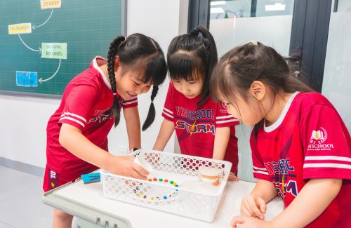 Khi Viên Kẹo “Biến Mất”: Vinser Lớp 2 Khám Phá Hiện Tượng Hoà Tan