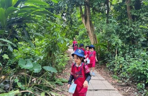 Grade 1 Vinsers Explore The Wonders Of Nature At The Vietnam Forest Resources Museum