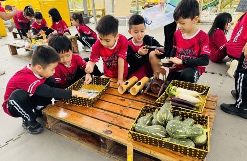 Vinsers Khối 2 Trải Nghiệm – Khám Phá Thiên Nhiên Và Văn Hóa Dân Gian Tại Chimi Farm