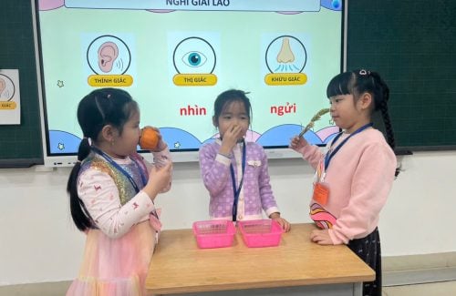 Super Starters ngày 2: Chuyến phiêu lưu của các giác quan