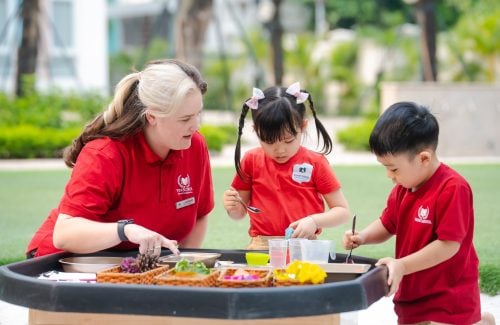 HỌC TIẾNG ANH QUA TRẢI NGHIỆM LÀM BÁNH CUPCAKE TỪ NGUYÊN VẬT LIỆU THIÊN NHIÊN