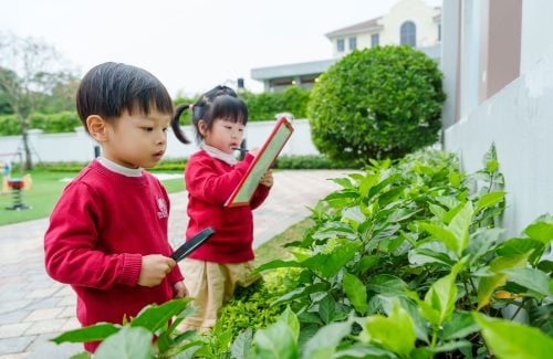 CHUYẾN SĂN SÂU & CÔN TRÙNG – HÀNH TRÌNH KHÁM PHÁ THIÊN NHIÊN CỦA NHỮNG NHÀ KHOA HỌC NHÍ