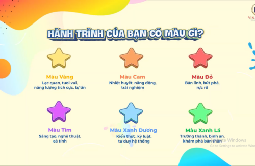 Mỗi Vinser đều có một màu sắc riêng. Màu của bạn là gì?